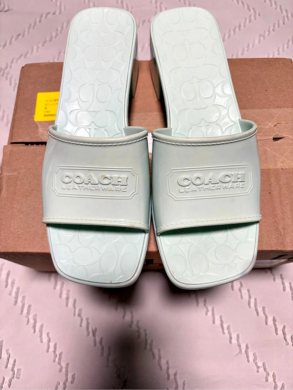 Coach Scarlet Rubber Sandal Block Heel (Sea Mist (Green/Blue)